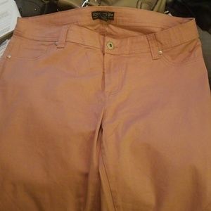 Mauve Pants